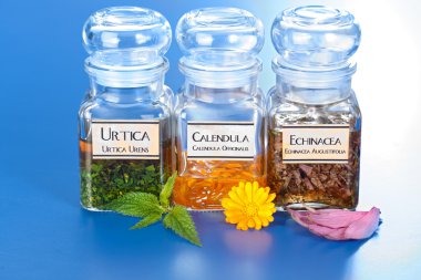 çeşitli bitki ekstresi şişeleri ve Homeopatik ilaç