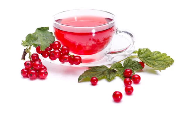 Red currant tea and fresh fruit — Stock Photo, Image