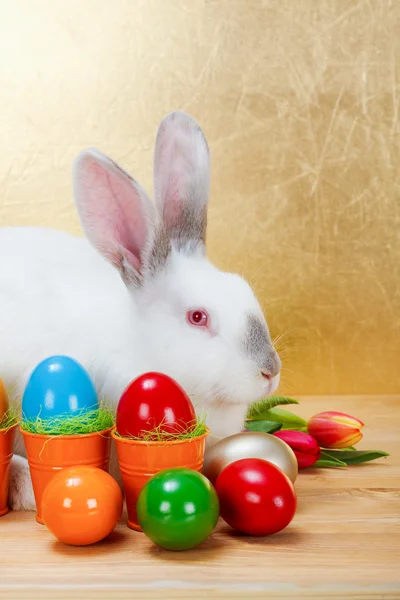 Easter rabbit with colorful eggs — Stock Photo, Image