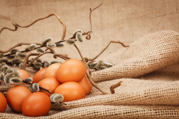 Ovos castanhos e guardanapos — Fotografia de Stock