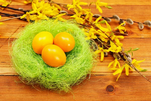 Gele eieren in nest — Stockfoto