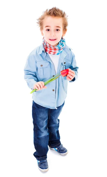 Pequeño niño sosteniendo un tulipán — Foto de Stock