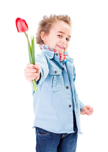 Niedliche kleine Junge bietet eine Tulpe — Stockfoto