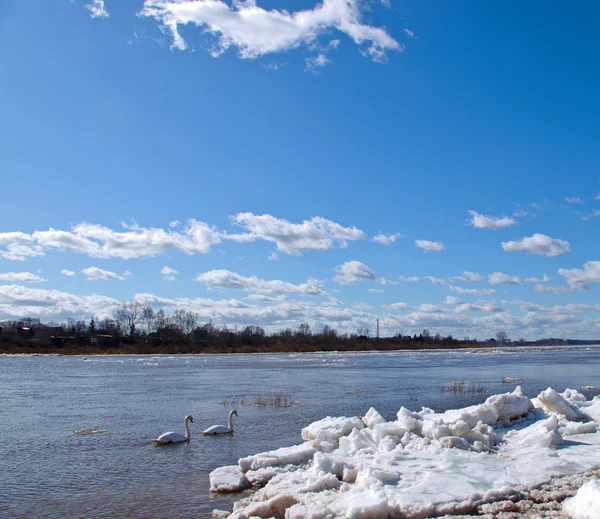 El río y el hielo — Foto de Stock