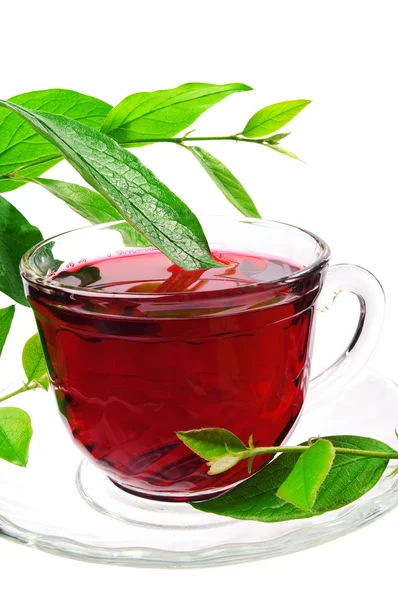 Tasse Tee mit roten Blüten — Stockfoto