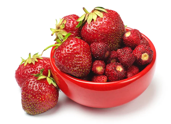 Erdbeere mit rotem Teller — Stockfoto