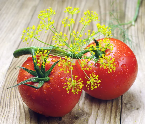 Pomodoro e aneto — Foto Stock