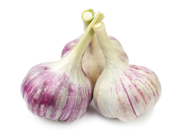 Three fresh garlic — Stock Photo, Image