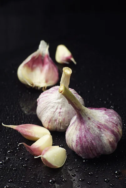 Garlic with water drops — Stock Photo, Image