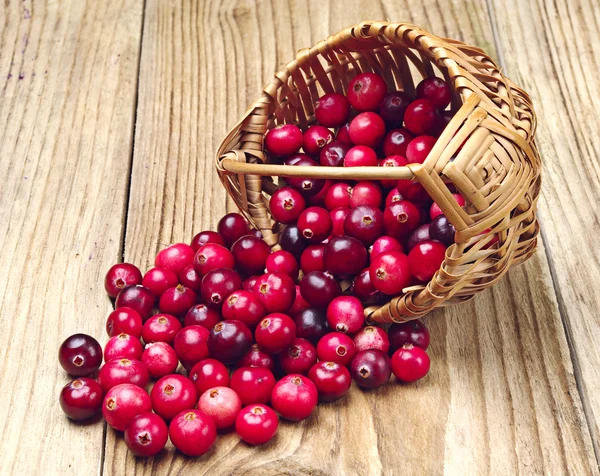 Cranberries yakınındaki sepeti — Stok fotoğraf