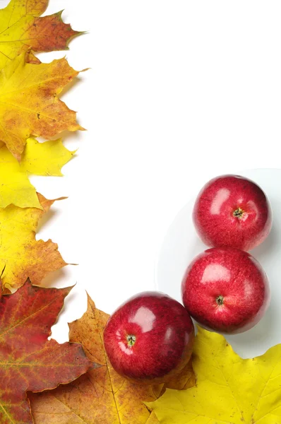 Sfondo con mele rosse — Foto Stock