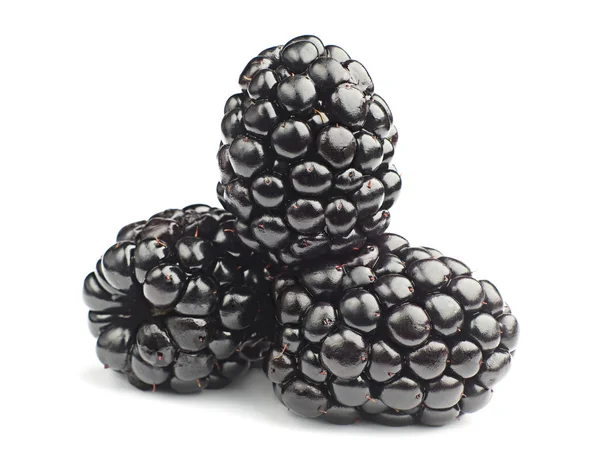 Three blackberry — Stock Photo, Image