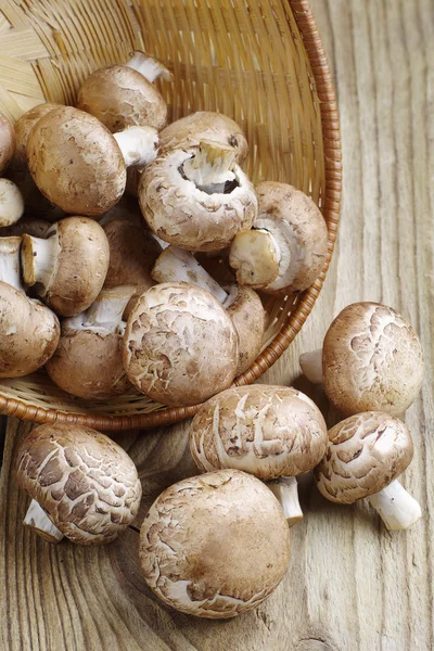 나무 식탁 위에 놓인 버섯 — 스톡 사진