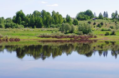 Nehri, fazla gelişmiş çalılar