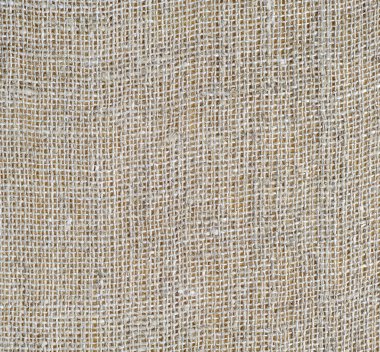 ehlileştirmek dokusuna