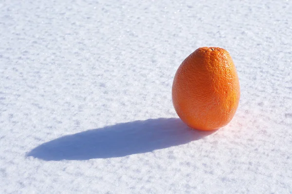 Orange i snön på en solig dag — Stockfoto