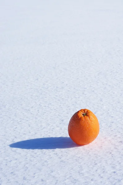 Orange dans la neige — Photo