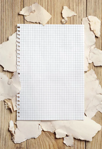 Blank sheet of notebook on the background of a torn paper Stock Photo