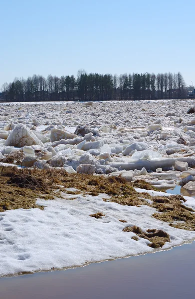 Drifting ice in the spring — Stock Photo, Image