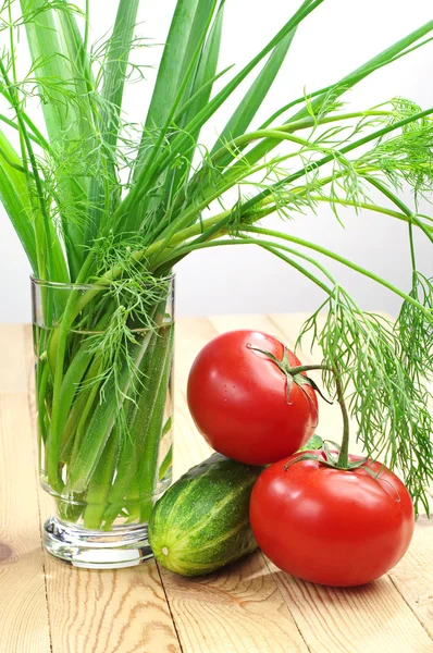 Cebollas verdes, eneldo, tomate y pepino — Foto de Stock