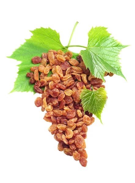 Raisins with grape leaves — Stock Photo, Image