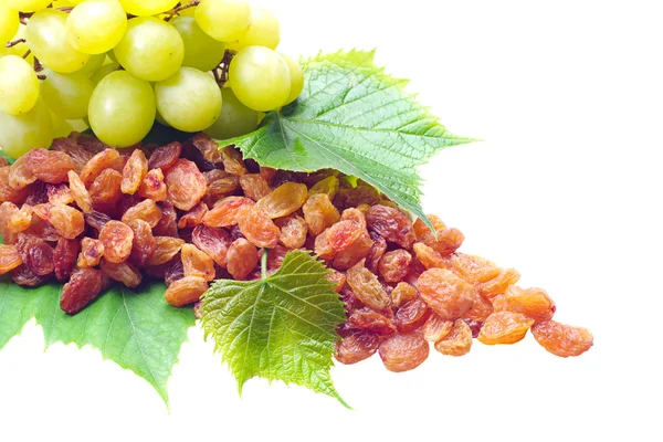 Raisins and grapes with leaves — Stock Photo, Image