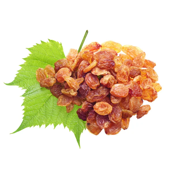 Raisins with grape leaves closeup — Stock Photo, Image