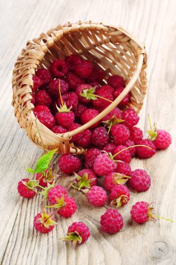 Ahududu sepet ve yakın