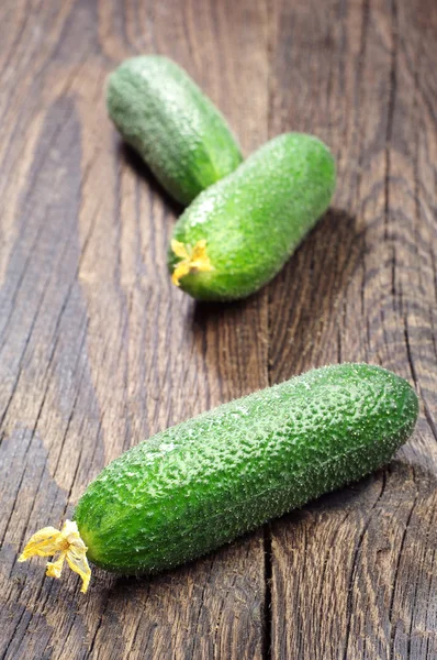 Fresh cucumber — Stock Photo, Image