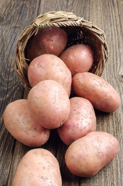 taze patates