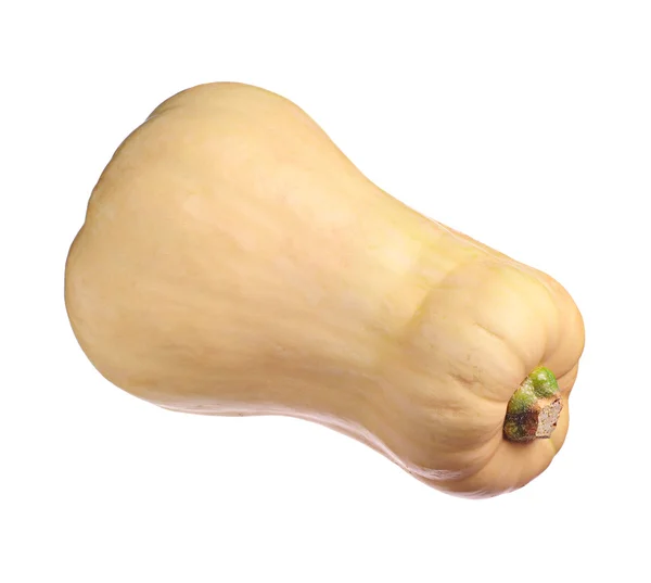 Butternut pumpa — Stockfoto