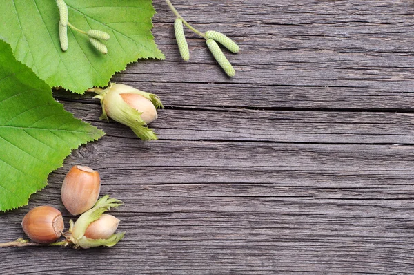 Hintergrund mit Haselnüssen — Stockfoto