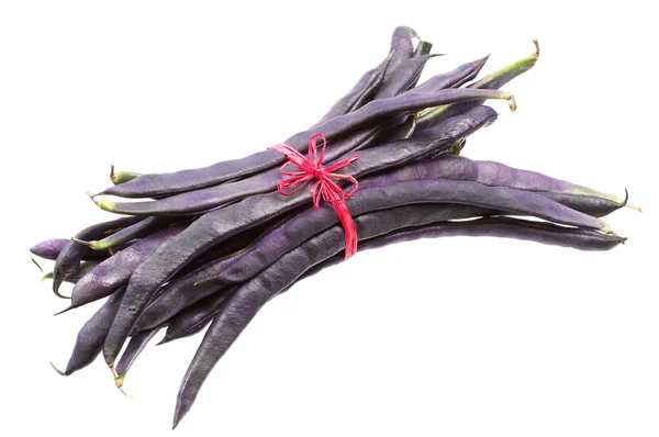 Frijoles frescos de hilo morado — Foto de Stock