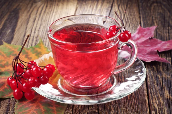 Tè con bacche di viburno rosso — Foto Stock