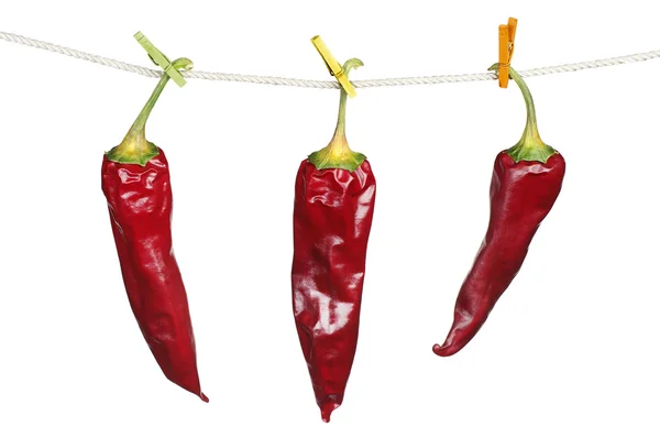 Tre torra röd chilipeppar — Stockfoto