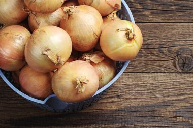 Kendini büyümüş soğan