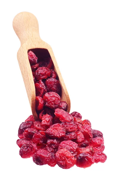 Colher com cranberry seco — Fotografia de Stock