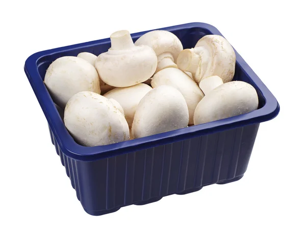 Champignons 패킹에 — 스톡 사진