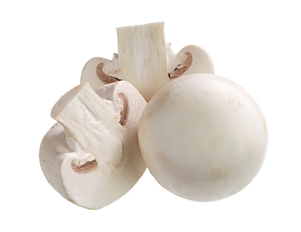 White mushroom — Stock Photo, Image