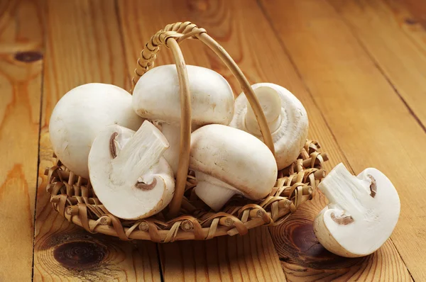 Witte champignon paddestoelen — Stockfoto