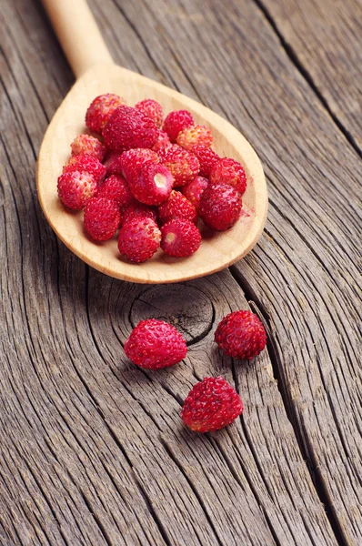 Wild strawberry in spoon — Stock Photo, Image