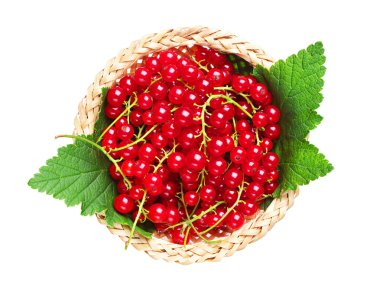 hasır kase kırmızı kuş üzümü