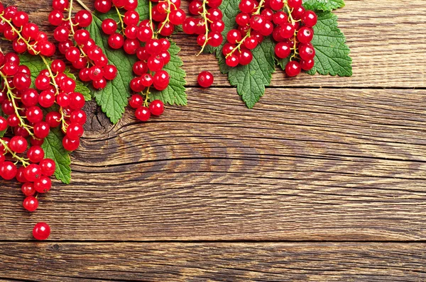 Fond avec groseilles rouges — Photo