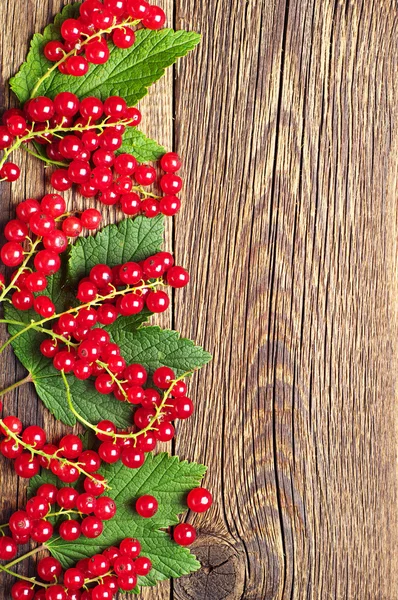 Rote Johannisbeeren und Blätter — Stockfoto