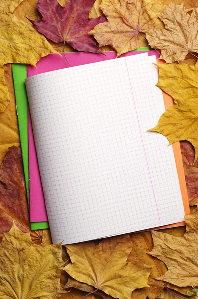 Opened school notebooks — Stock Photo, Image