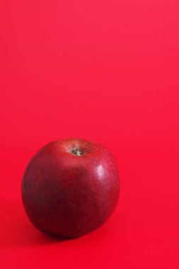 Kırmızı arka planda olgun bir elma. Metin için boşluk