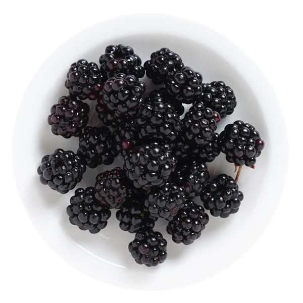 Blackberry Einem Teller Isoliert Auf Weißem Hintergrund Oben — Stockfoto