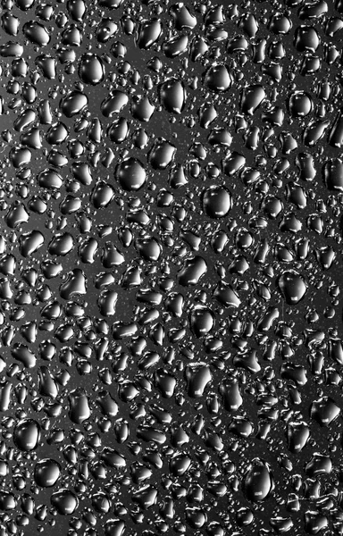 Water droplets — Stock Photo, Image