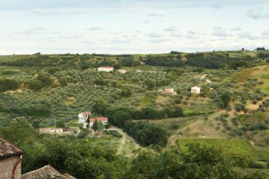 Typical panorama of villas, farmhouses and vineyards in Abruzzo, Italy clipart