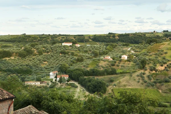 Panorama típico de moradias, quintas e vinhas em Abruzzo, Itália Imagens De Bancos De Imagens